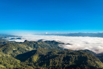 The beautiful landscape of green rice terraces in Bali, Indonesia, and rice fields in Thailand showcases stunning Asian nature and agriculture