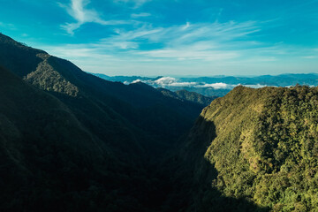The beautiful landscape of green rice terraces in Bali, Indonesia, and rice fields in Thailand showcases stunning Asian nature and agriculture
