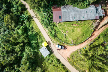 The beautiful landscape of green rice terraces in Bali, Indonesia, and rice fields in Thailand showcases stunning Asian nature and agriculture
