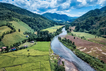 The beautiful landscape of green rice terraces in Bali, Indonesia, and rice fields in Thailand showcases stunning Asian nature and agriculture
