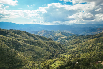 The beautiful landscape of green rice terraces in Bali, Indonesia, and rice fields in Thailand showcases stunning Asian nature and agriculture