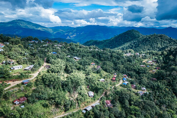 The beautiful landscape of green rice terraces in Bali, Indonesia, and rice fields in Thailand showcases stunning Asian nature and agriculture
