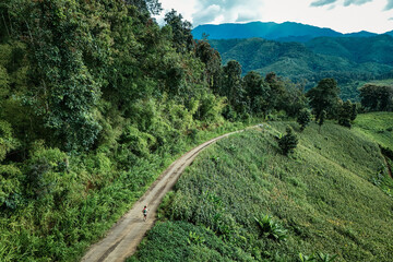 The beautiful landscape of green rice terraces in Bali, Indonesia, and rice fields in Thailand showcases stunning Asian nature and agriculture
