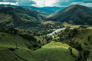 The beautiful landscape of green rice terraces in Bali, Indonesia, and rice fields in Thailand showcases stunning Asian nature and agriculture