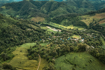 The beautiful landscape of green rice terraces in Bali, Indonesia, and rice fields in Thailand showcases stunning Asian nature and agriculture