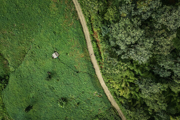 The beautiful landscape of green rice terraces in Bali, Indonesia, and rice fields in Thailand showcases stunning Asian nature and agriculture
