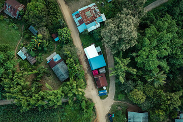 The beautiful landscape of green rice terraces in Bali, Indonesia, and rice fields in Thailand showcases stunning Asian nature and agriculture
