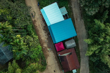 The beautiful landscape of green rice terraces in Bali, Indonesia, and rice fields in Thailand showcases stunning Asian nature and agriculture