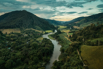 The beautiful landscape of green rice terraces in Bali, Indonesia, and rice fields in Thailand showcases stunning Asian nature and agriculture