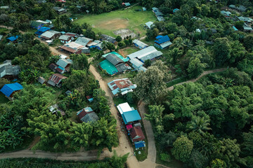 The beautiful landscape of green rice terraces in Bali, Indonesia, and rice fields in Thailand showcases stunning Asian nature and agriculture