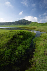 Fototapeta premium Vast grasslands of Kusasenri in Aso, Kumamoto, Japan. A tranquil volcanic plain where clear blue skies, lush green fields, and gentle water streams create a breathtaking natural harmony.