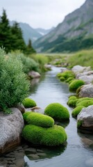 Serene Mountain Stream Flowing Through Lush Green Moss Covered Rocks Amidst Majestic Rocky Peaks Under a Cloudy Sky