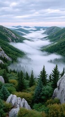 Serene Mountain Valley Vista With Rolling Fog And Verdant Green Forest Under A Cloudy Sky And Soft Light