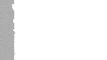 Obraz premium Torn paper edge with rough texture 