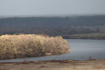 Landscape. Trees on a riverbank on a cloudy autumn day against a backdrop of dark forest