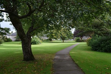 Obraz premium Tranquil Veterans Park in Aberdeen: A Verdant Landscape with Green Foliage and Serene Walking Paths