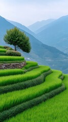 Vibrant Green Terraced Highland Farmland With A Lone Tree And Distant Misty Mountains Under Soft Daylight