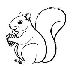 squirrel with nut
