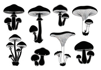 Collection of small mechanical parts and fasteners in a grid layout isolated on transparent background