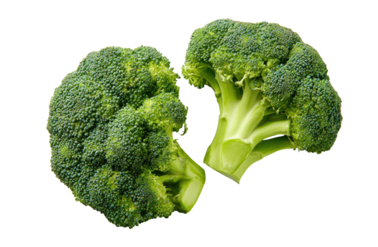 Two fresh green broccoli florets isolated on a black background