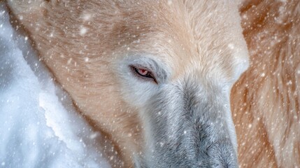 Dreamy-eyed polar bear amidst swirling snowflakes, isolated Antarctic reverie, emblem of Arctic Tern Festival, wintery tranquility encapsulated