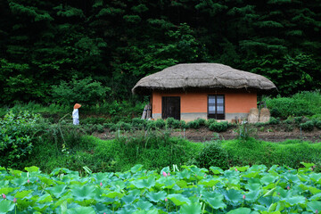 an old house in Korea