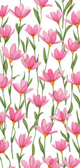 Obraz premium Pink Flowers with Green Stems on White Background