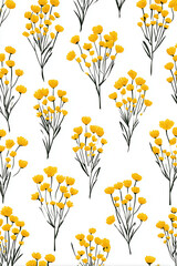 Yellow Flowers on White Background