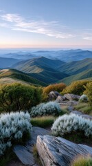 Serene Mountain Landscape at Sunrise with Rolling Hills and Wildflowers in Golden Light
