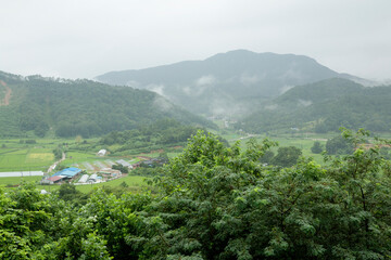 misty rural landscape