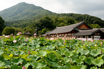 temple and lotus flowers