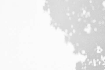 Leaves of Tree Shadow on White Concrete Wall Background