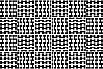 Black and white optical illusion pattern.