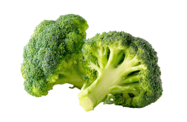 Fresh green broccoli florets on black background