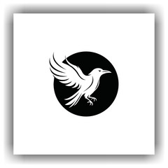 Fototapeta premium crow vector, black, sharp, abstract, modern