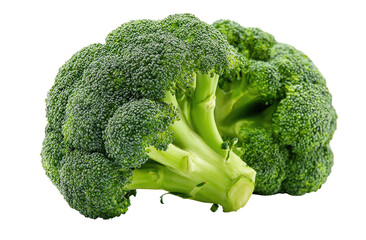 Fresh, green broccoli florets with thick stems, isolated