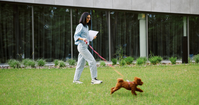 Young woman in casual clothing is joyfully running through the park with her Maltipoo dog on a leash while holding a laptop, balancing active lifestyle with remote work outdoors - Powered by Adobe