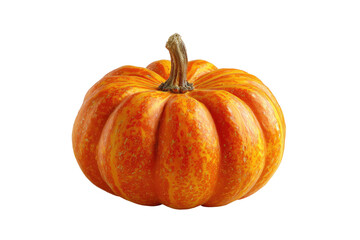 Obraz premium A plump, ridged, orange and yellow striped gourd with a stem