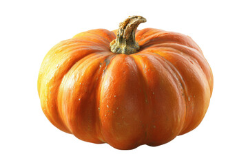Ripe orange gourd with rough texture, set against black