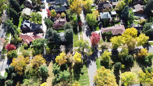 Denver aerial showing vacant land with wooded buffer, park-connected, bordered by upscale homes with tile roofing. Tree canopy in peak fall color adds depth to residential and ecological layout
