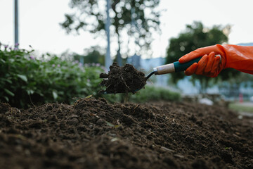 A person wearing orange gloves uses a small gardening tool to dig and prepare soil for planting in a garden.