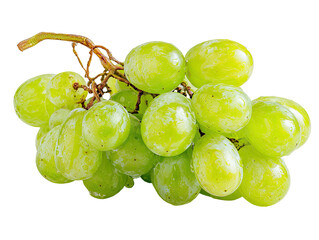 Wet, ripe green grapes clustered together on a vine
