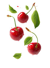 Juicy red cherries with stems and leaves falling