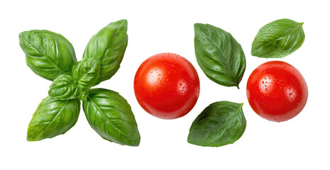 Fresh basil leaves with ripe cherry tomatoes on black