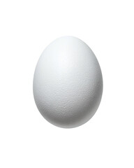 A single white oval egg with a textured surface against a black backdrop