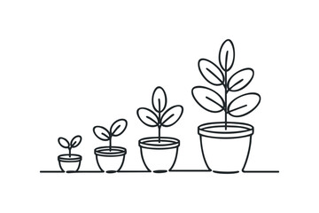 Seedlings in pots showing growth progression