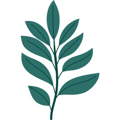 A single green leaf branch with dark teal leaves set against a transparent background perfect for botanical and nature design