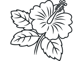Outline of a single hibiscus flower with leaves