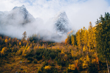 Majestic autumn landscape with mountains shrouded in mist and vibrant trees in a peaceful valley