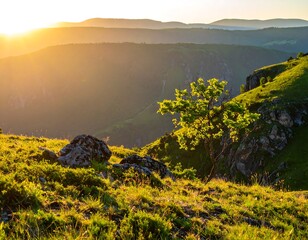 Sunny mountain landscape with tree silhouetted against a golden sky
